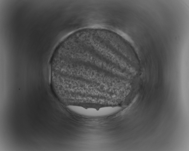 X0000088671223200706281915