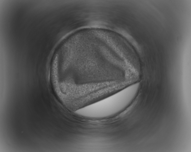 X0000088671224200706281915