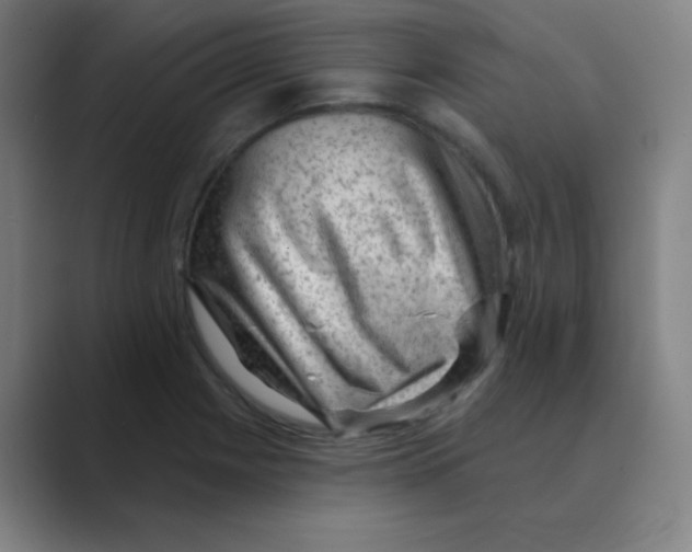 X0000088671225200706281915