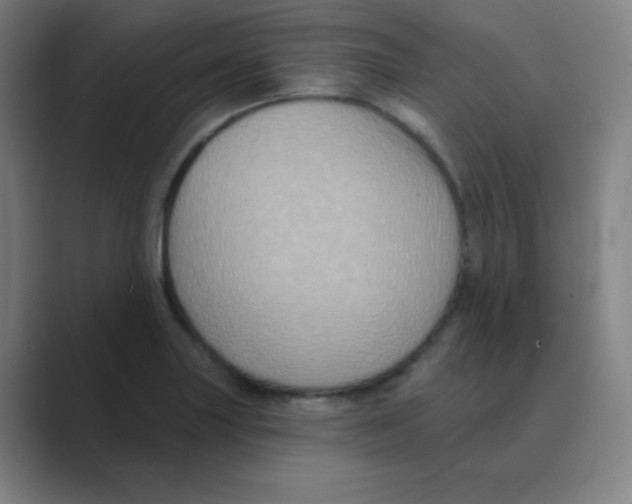 X0000088671227200706281915