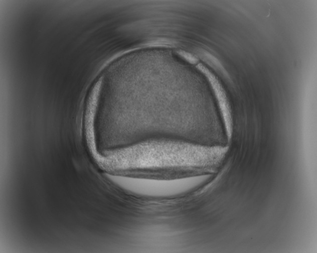 X0000088671228200706281915