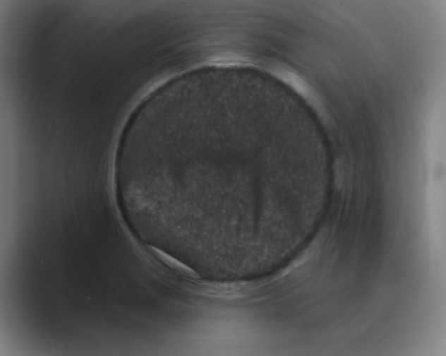 X0000088671229200706281915