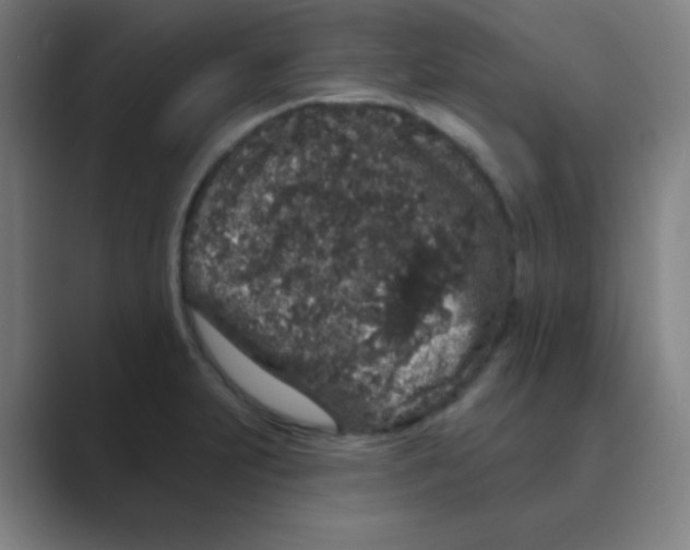 X0000088671231200706281915