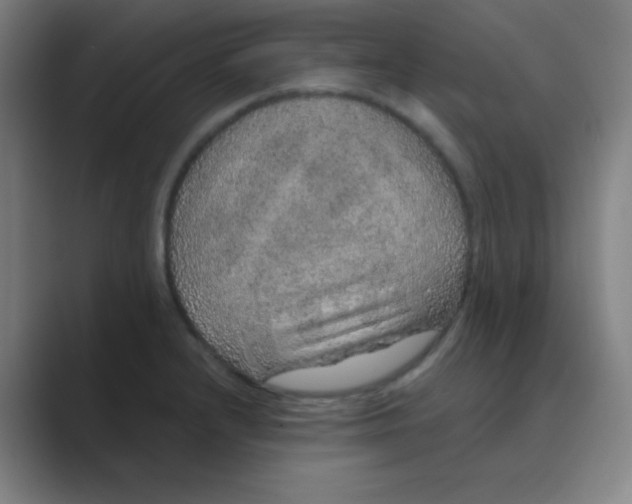 X0000088671232200706281915