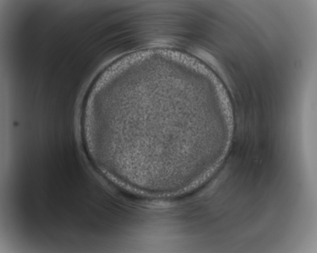 X0000088671235200706281915