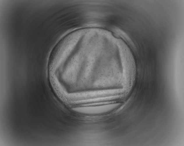 X0000088671236200706281915