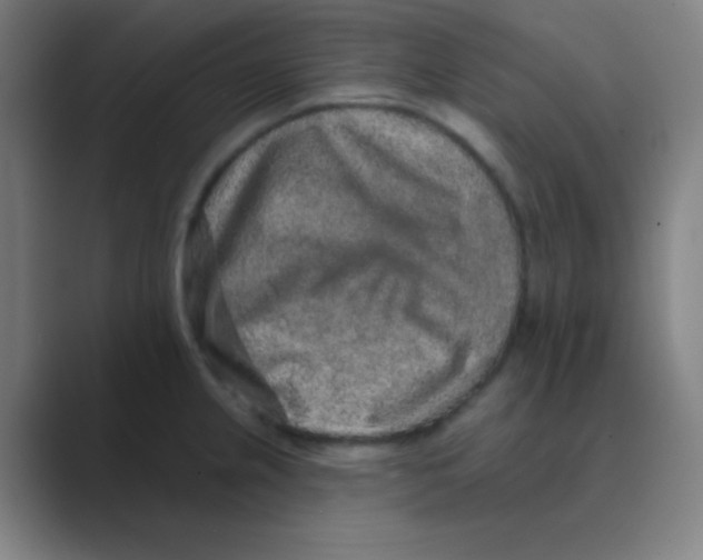 X0000088671237200706281915