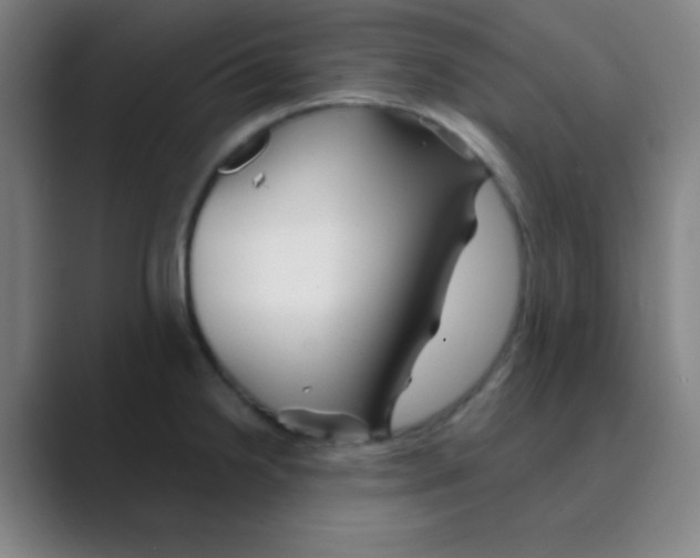 X0000088671238200706281915