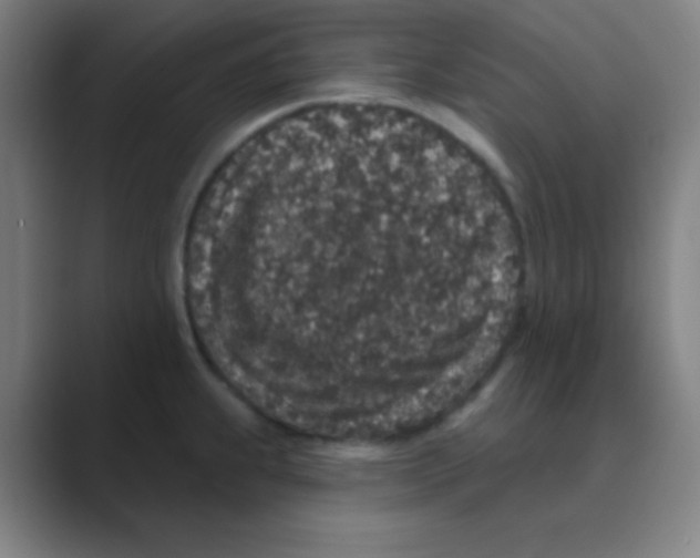 X0000088671239200706281915