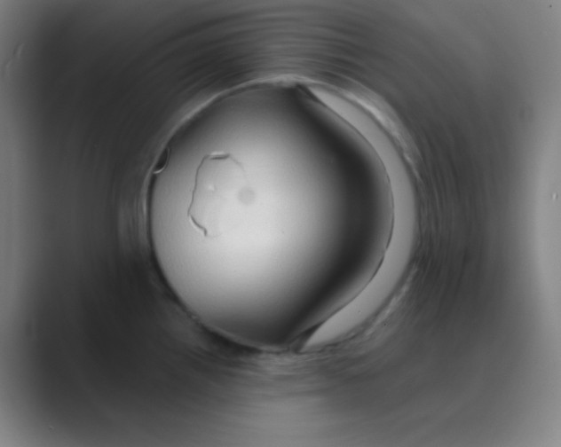 X0000088671242200706281915