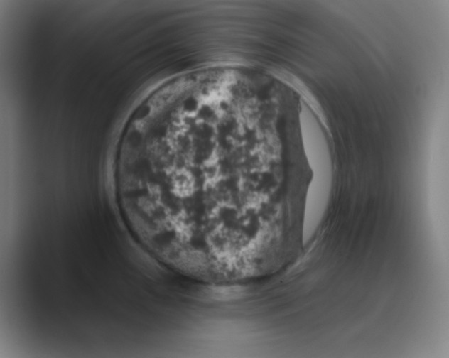 X0000088671243200706281915