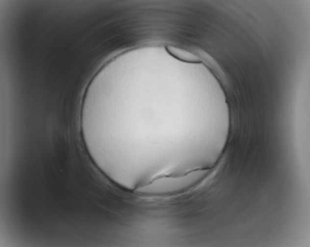 X0000088671244200706281915