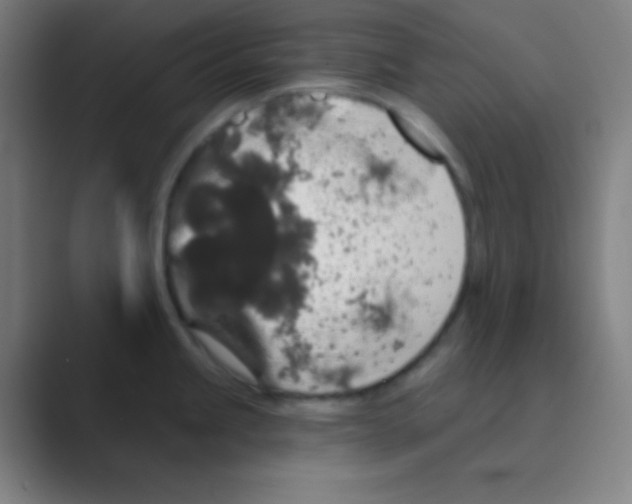 X0000088671245200706281915