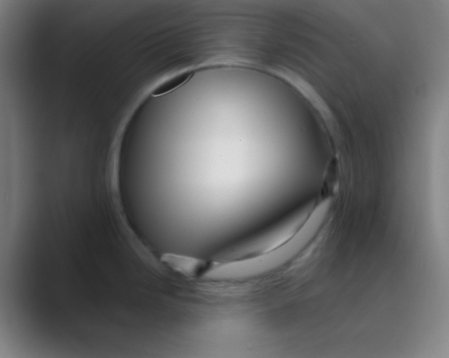 X0000088671246200706281915