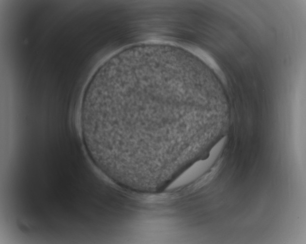 X0000088671247200706281915