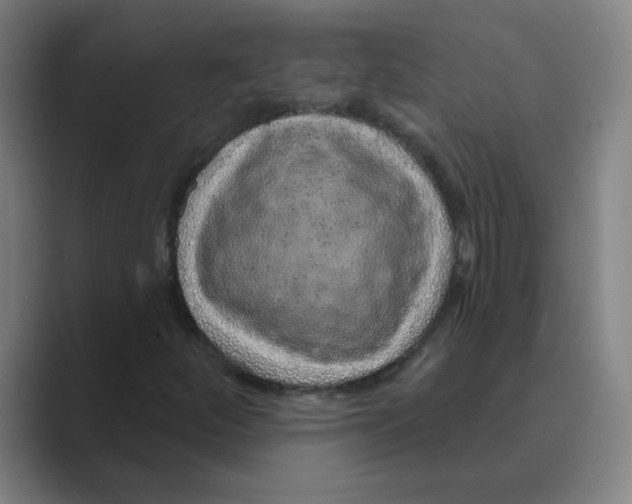 X0000088671252200706281914