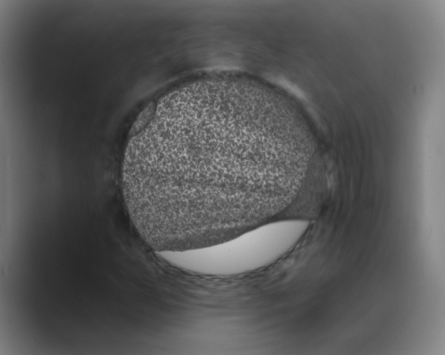 X0000088671255200706281914