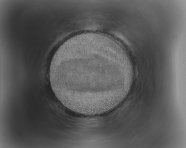 X0000088671256200706281914