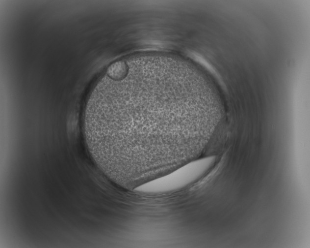 X0000088671259200706281914