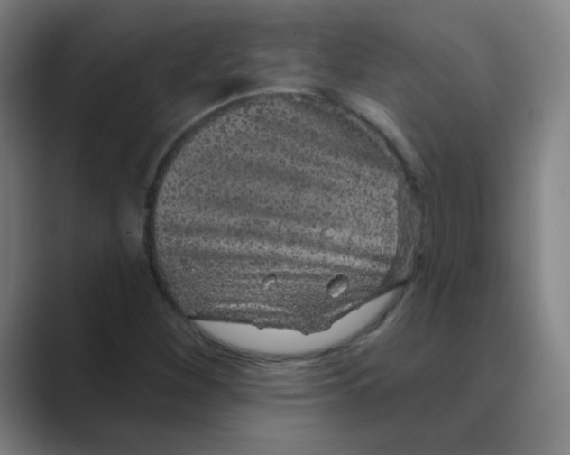X0000088671260200706281914