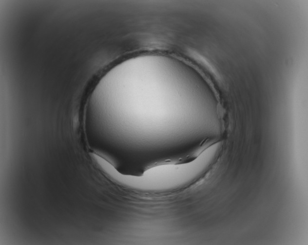 X0000088671261200706281914