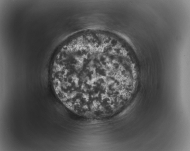 X0000088671263200706281914