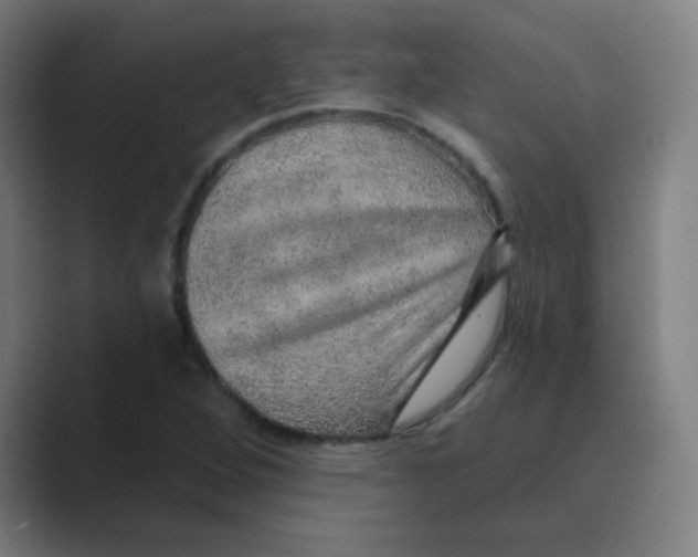 X0000088671264200706281914