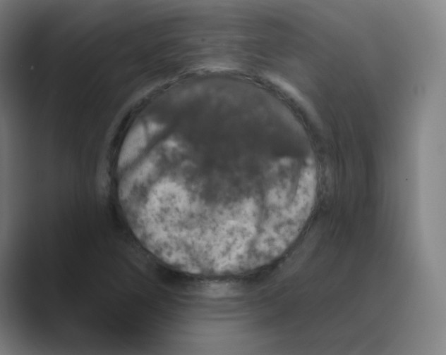 X0000088671266200706281914