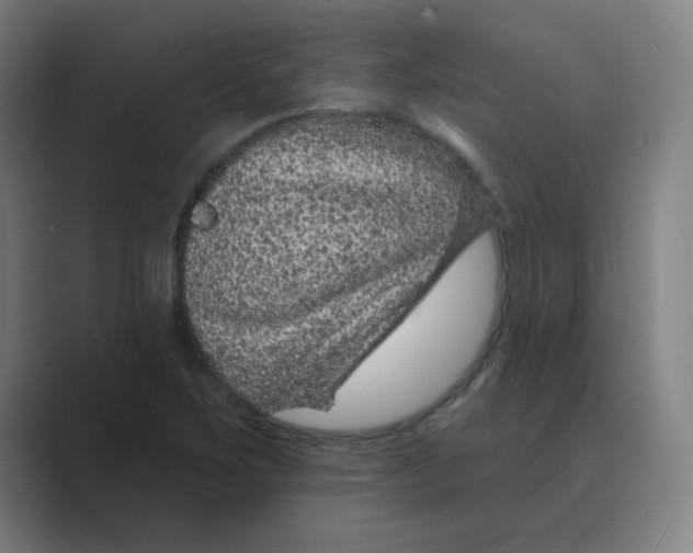 X0000088671267200706281914