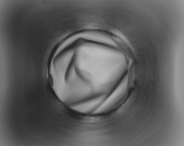 X0000088671269200706281914
