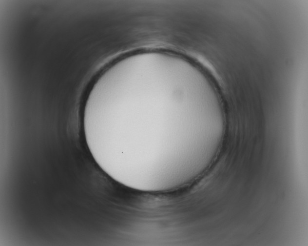 X0000088671270200706281914