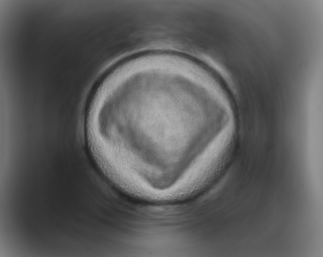 X0000088671272200706281914