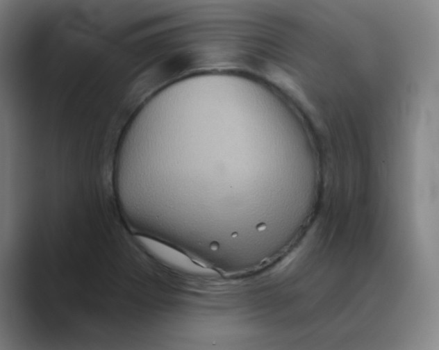 X0000088671273200706281914