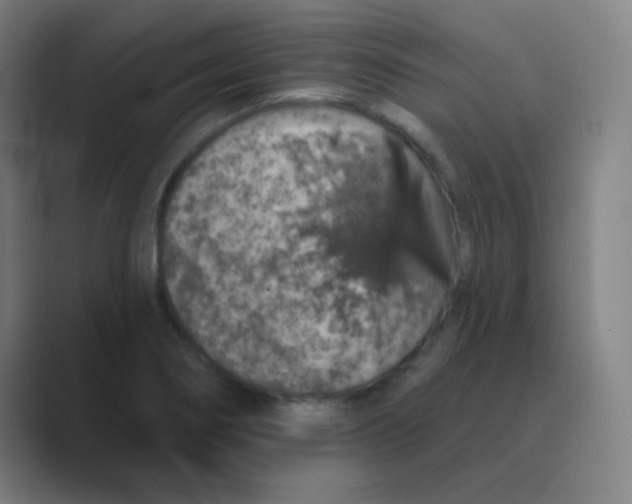 X0000088671274200706281914