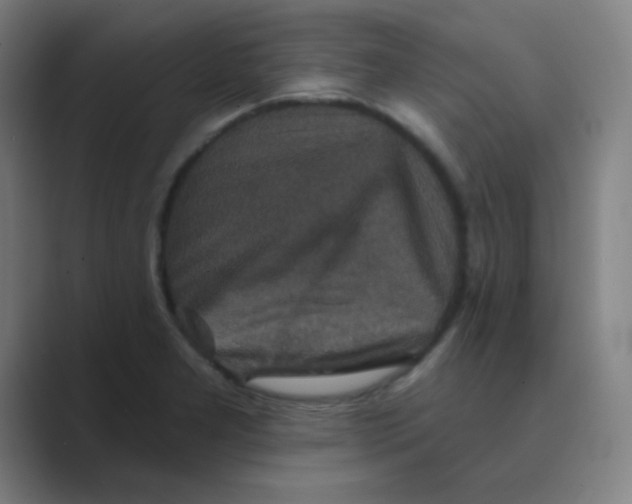 X0000088671277200706281914