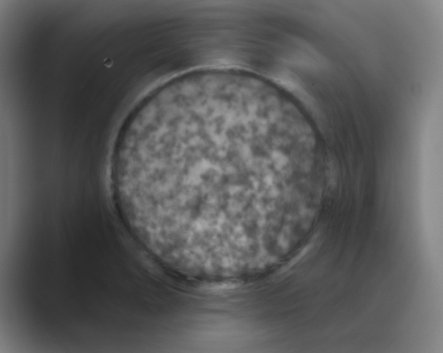 X0000088671278200706281914