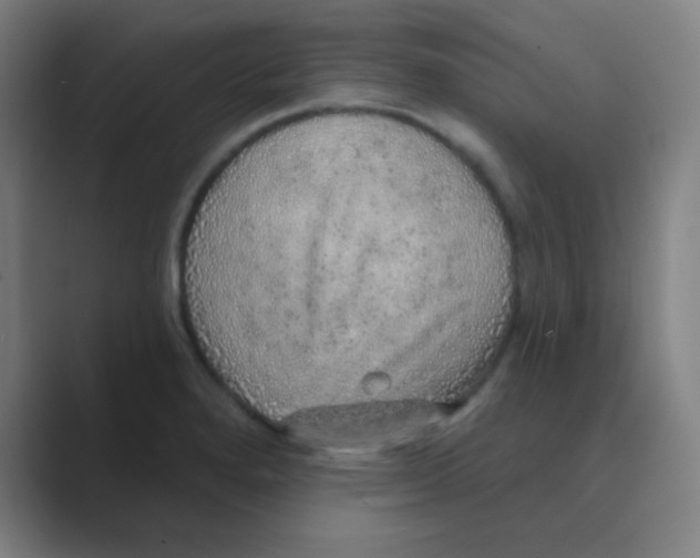 X0000088671280200706281914