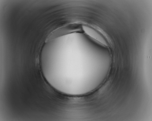 X0000088671281200706281914