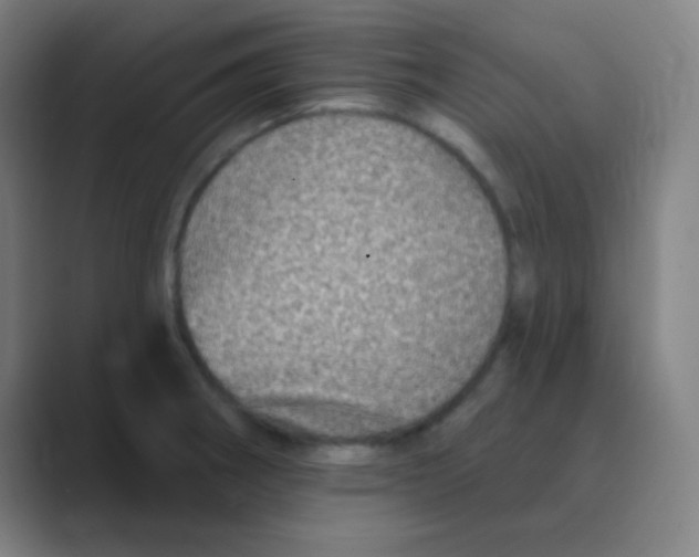 X0000088671282200706281914