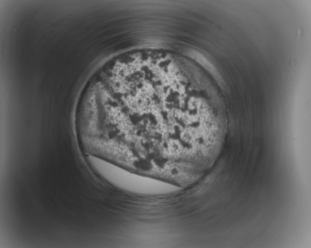 X0000088671283200706281914