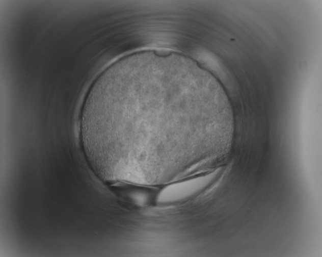 X0000088671284200706281914