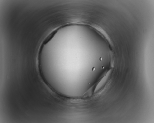 X0000088671285200706281914