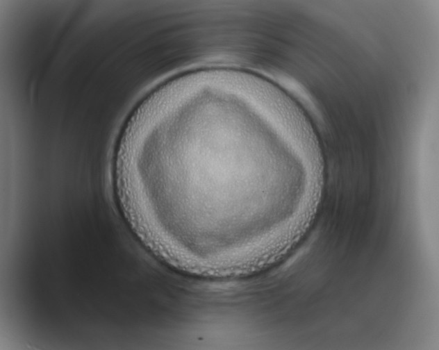 X0000088671288200706281914