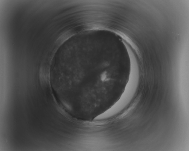X0000088671289200706281914
