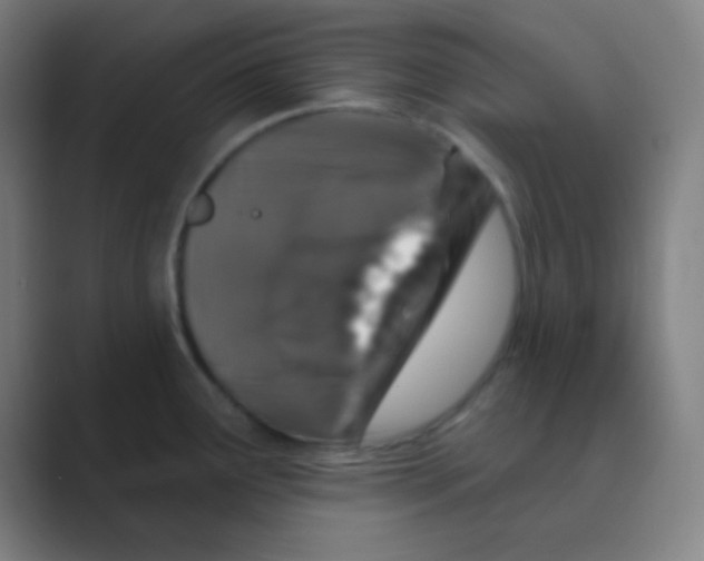 X0000088671291200706281914