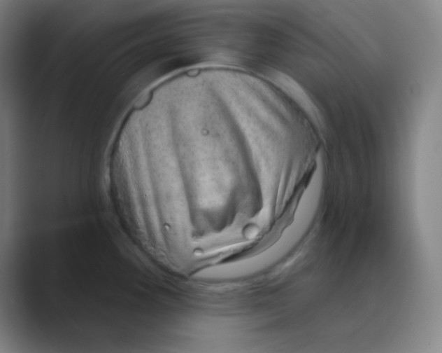 X0000088671292200706281914