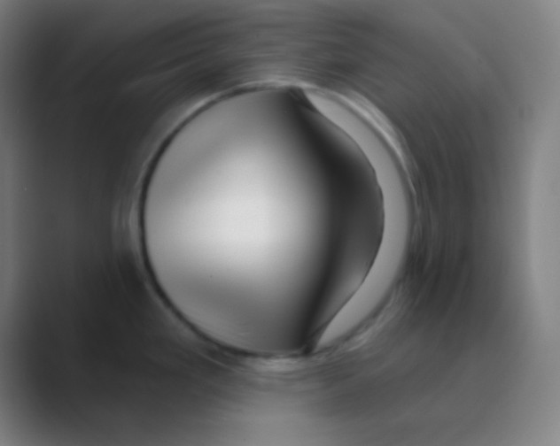 X0000088671293200706281914