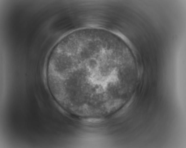 X0000088671294200706281914