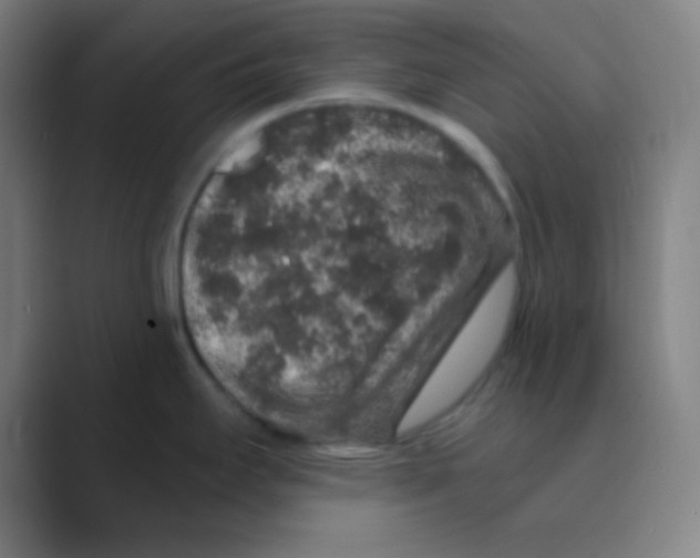 X0000088671295200706281914
