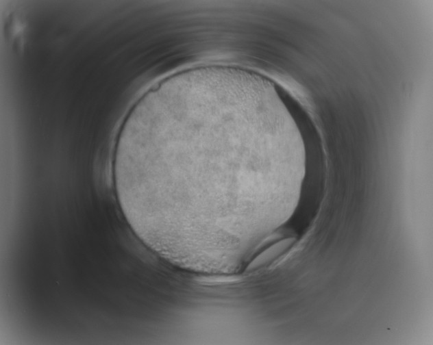 X0000088671296200706281914